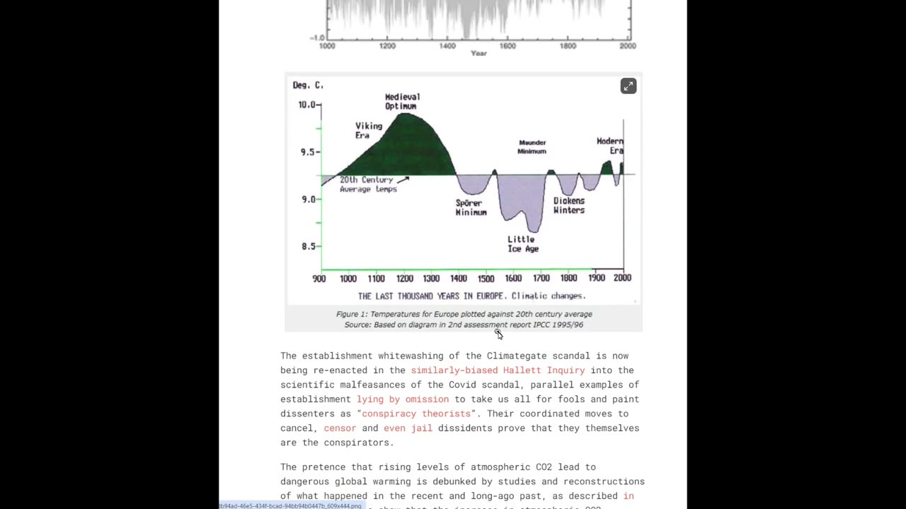 Ivor Cummins - Review of "Debunking the climate change hoax"