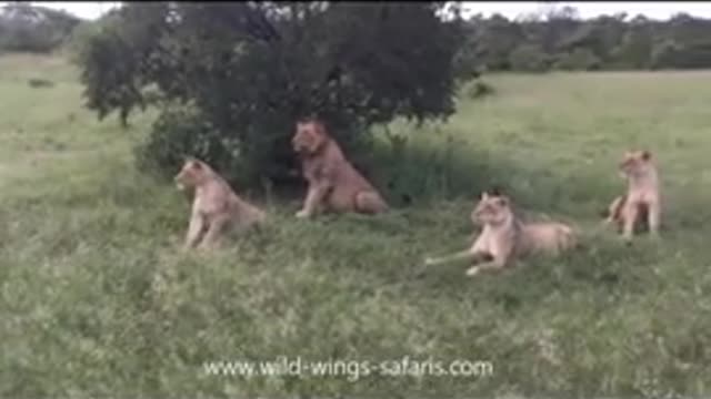 Comedy video scenes 😂😂😛😛