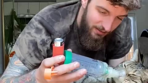 Cat with asthma takes inhaler!