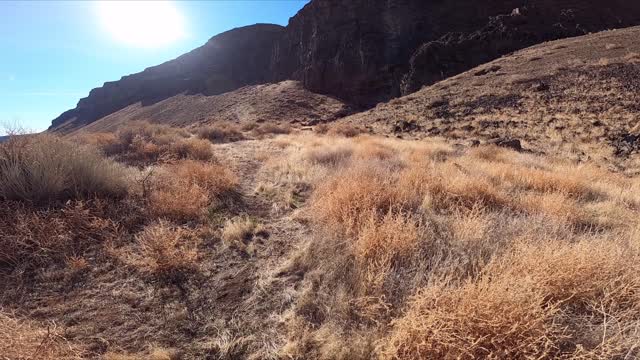 Exploring Snake River Canyon