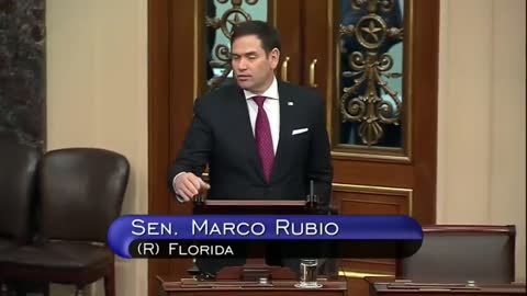 Rubio: Sane People Don't Think Govt Was 'Almost Overthrown By A Guy Wearing A Viking Hat & Speedos'