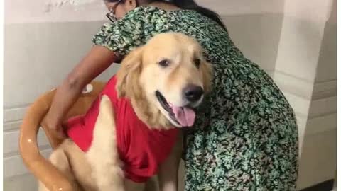 THE DOG