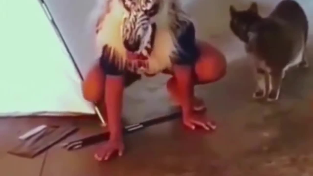 Funny animals