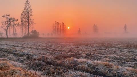 Who likes a sunrise in the countryside