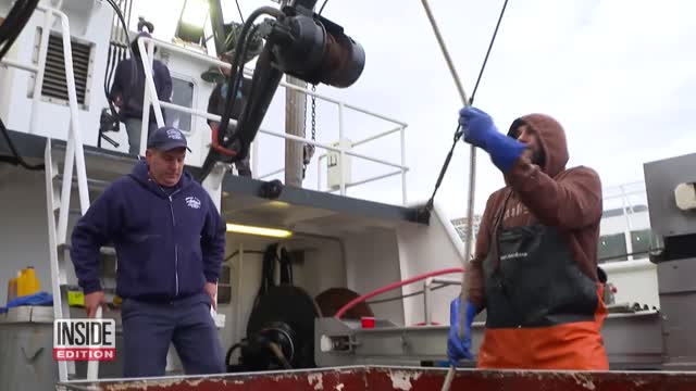 Boston Restaurant Shows How Fast Fish Goes From Sea to Table