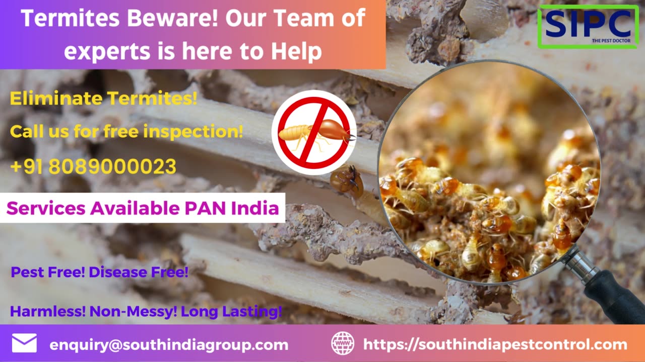 Termite Control in Delhi