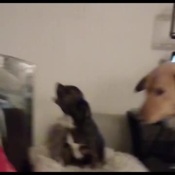 Chica can sing! Well kind of lol