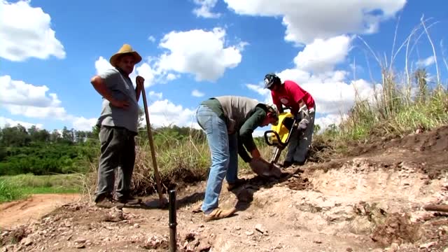 New dinosaur species identified in Brazil