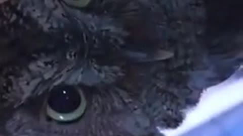 Know. You're being watched