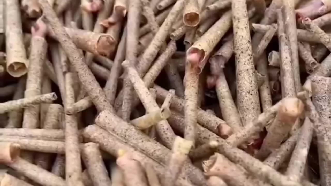 You haven't seen something like this before