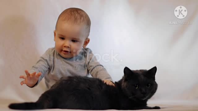 Baby and cat playing together