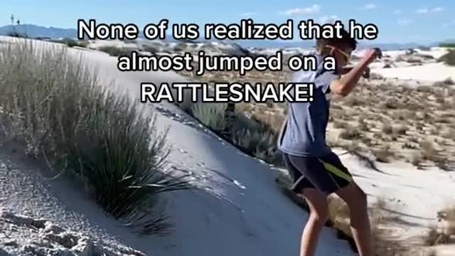 None of us realized that he almost jumped on a RATTLESNAKE!