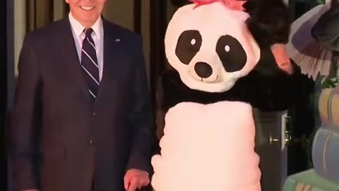 FLOTUS - panda suit for White House Halloween event