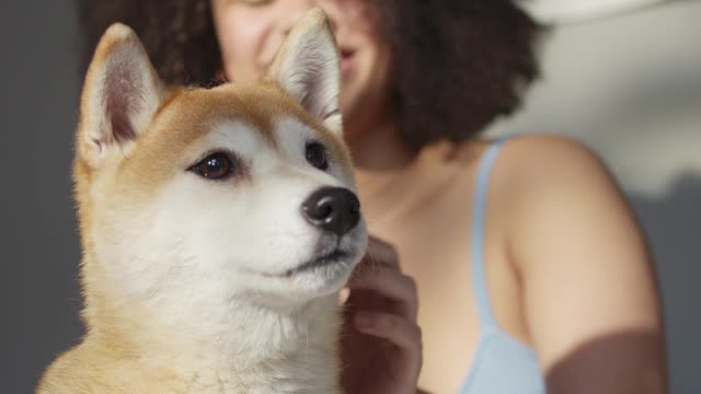 The woman treats her dog gently🤭