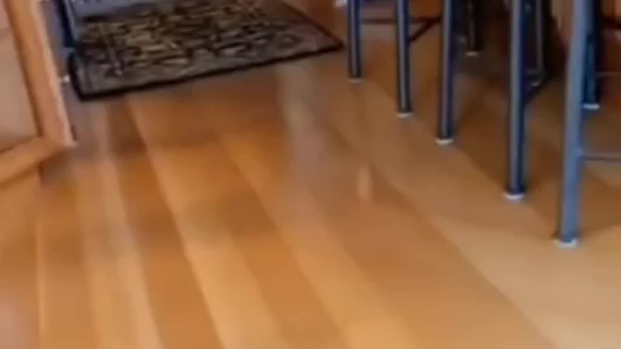😂😂😂