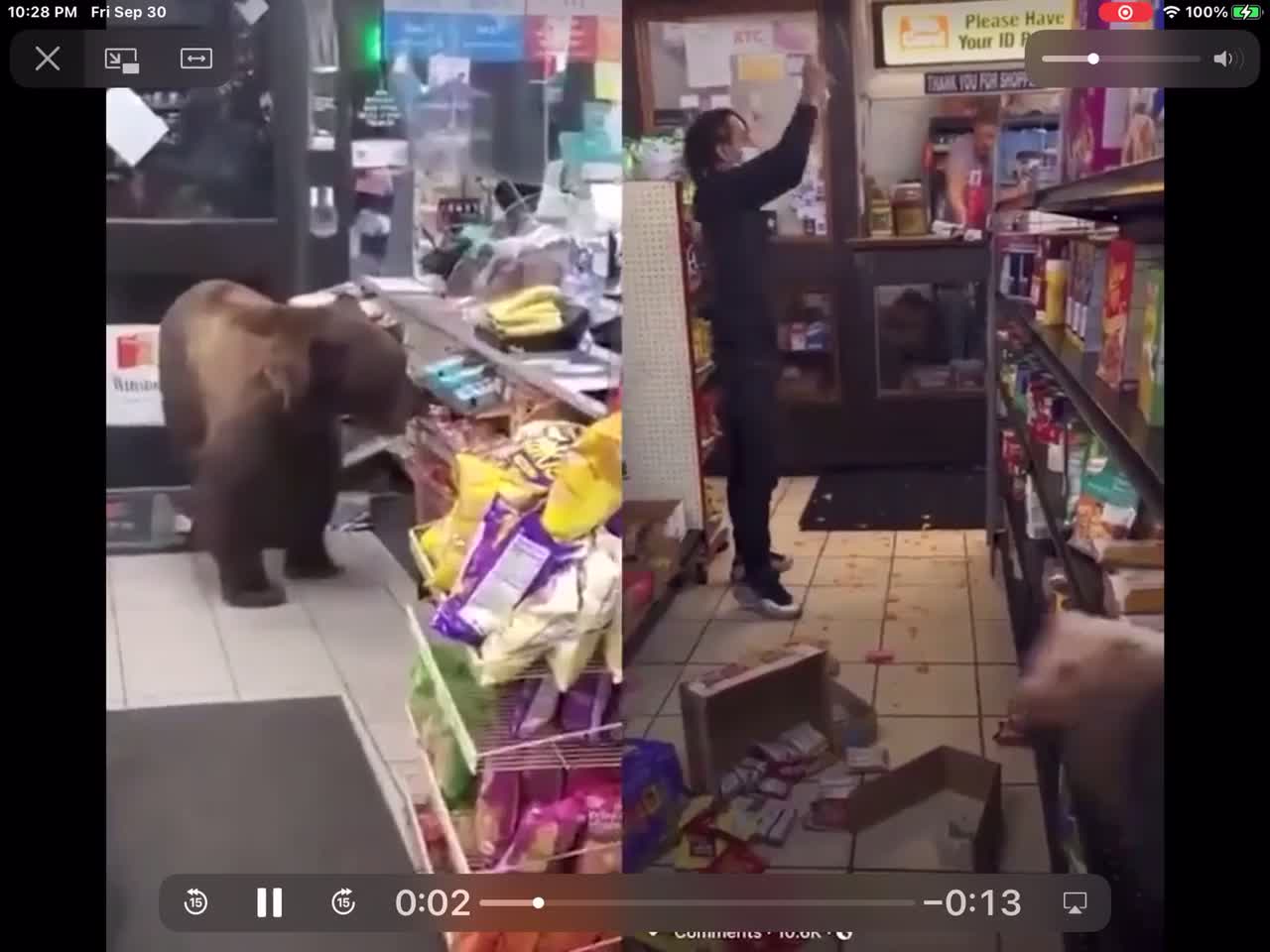 Better To Have A Bear Come In Your Store Instead Of A Democrat Animal