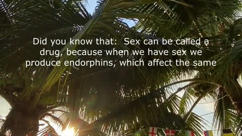 ✅Sex Facts. Psychological Facts. Psychology Arcade. Romantic stories.