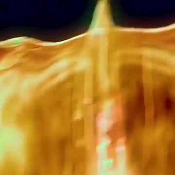 the phoenix rises from the ashes