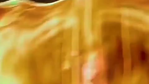 the phoenix rises from the ashes