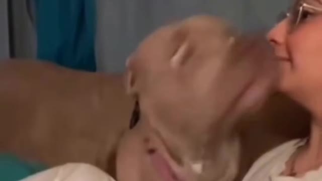 She barked at her dog face