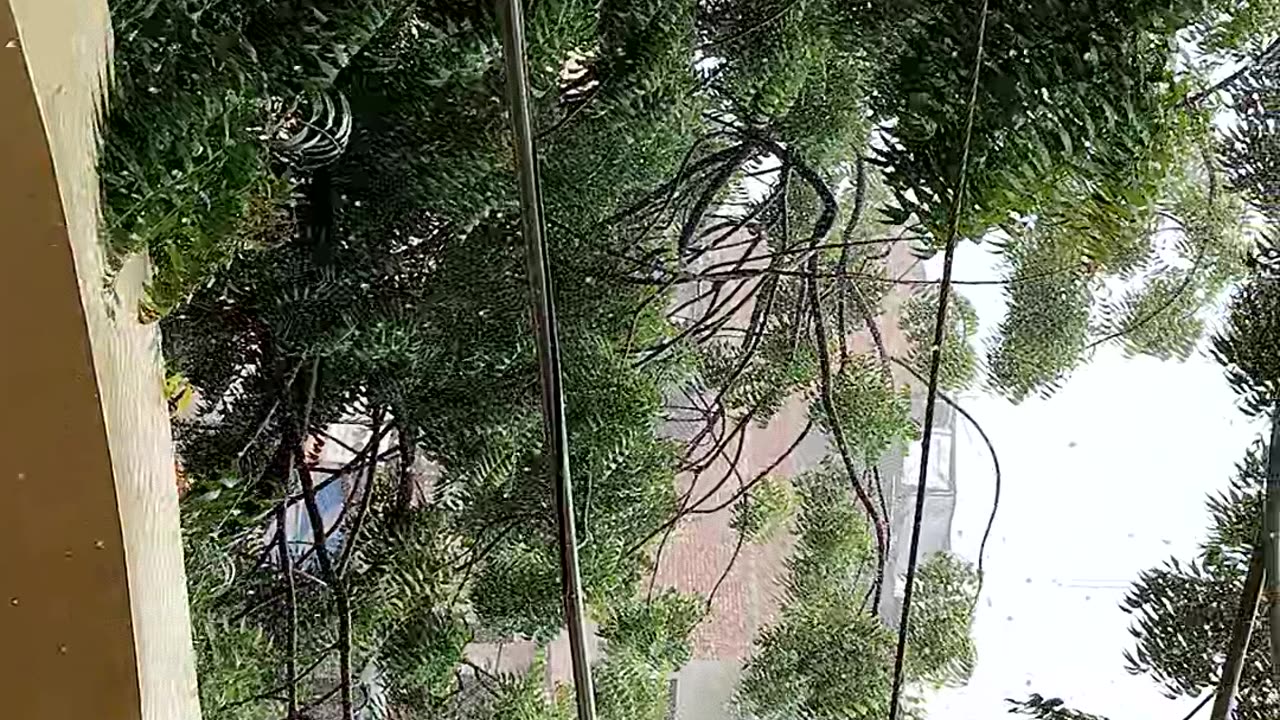 Rain