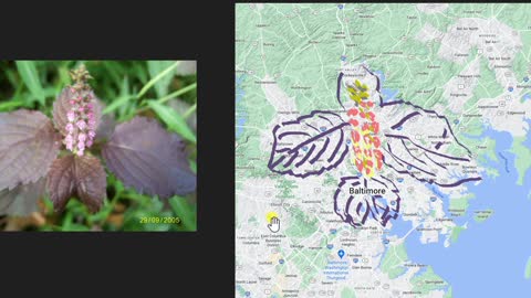 북아메리카 개경開京 동비홀東匪忽 부소갑扶蘇押 1편 (1080p)