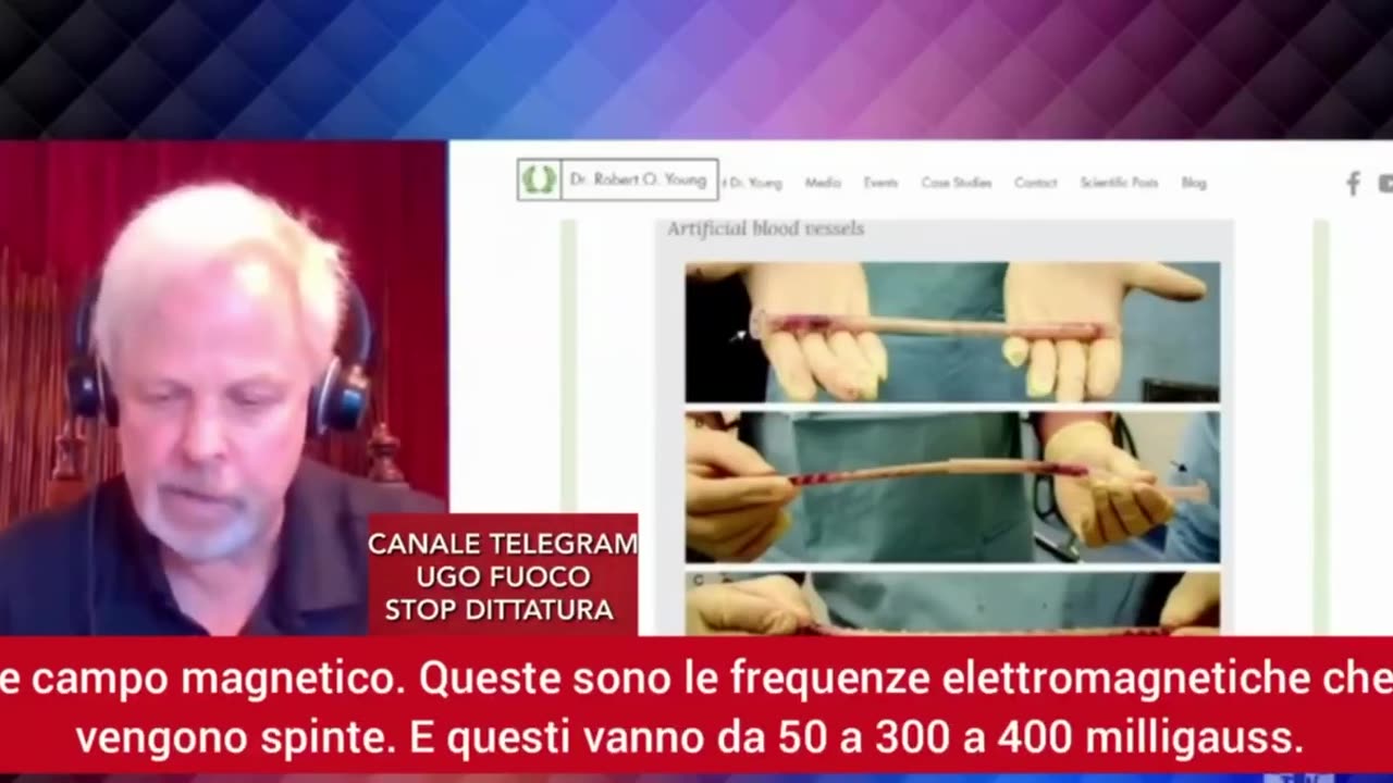 Filamenti nel sangue degli inoculati