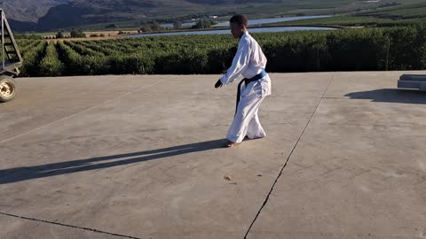 B56 - Danwill Nel - Blue - Pinan Nidan