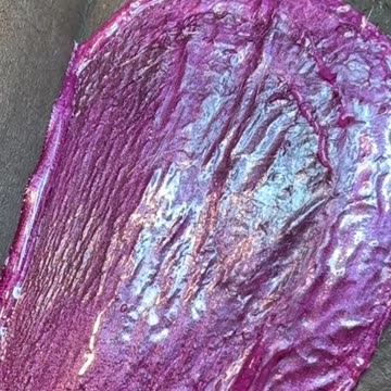 Bikini Wax Tutorial with Tickled Pink Hard Wax by Toni