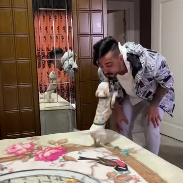 Murat Noyan _ En Yeni Tiktok Videosu _ #shorts