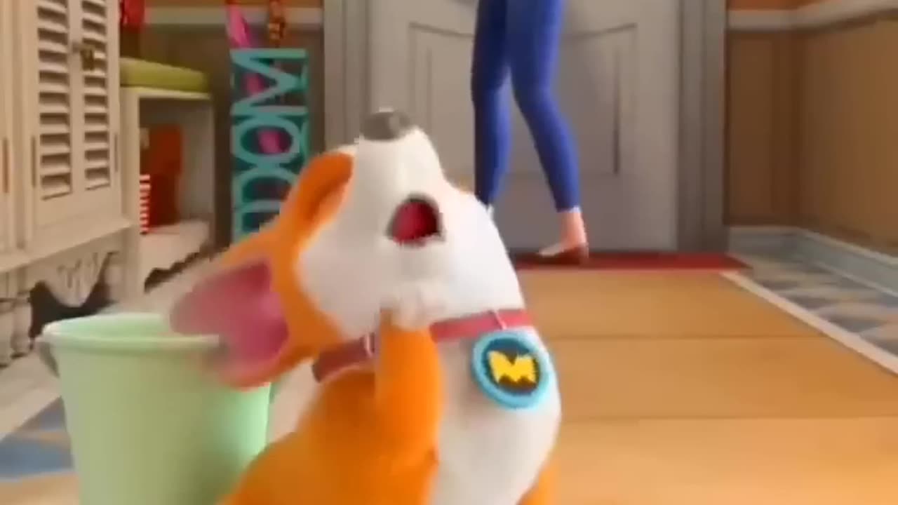 funny video
