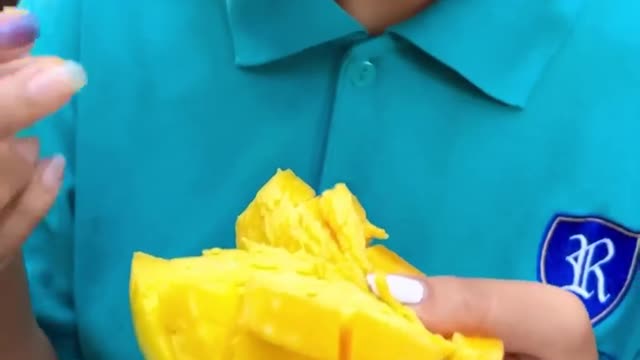 Taste the delicious taste of fresh mangoes straight from the tree