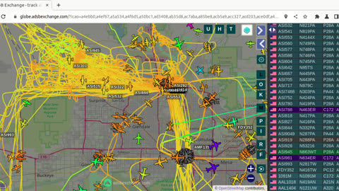 More Bird Nazis from KPHX - jan 26th 2024 - AMF1351 - FDY352 -