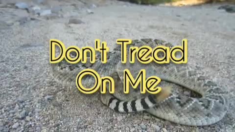 Don't Tread on Me