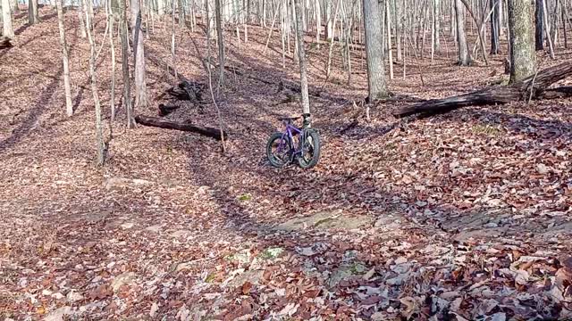 The Rock Bridges of Rock'n'Roll MTB trail in Carvins Cove