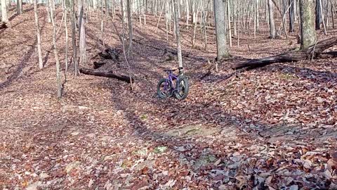 The Rock Bridges of Rock'n'Roll MTB trail in Carvins Cove