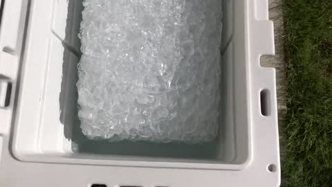 2019 Rokslide Cooler Showdown Day 7!