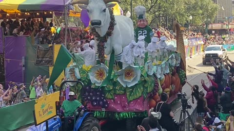 Mardi Gras Louisiana 2023