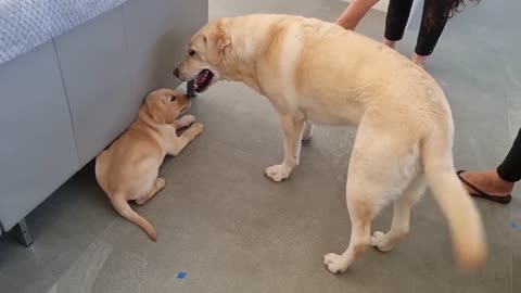 Abbi Gets Excited after Chloe's Arrival