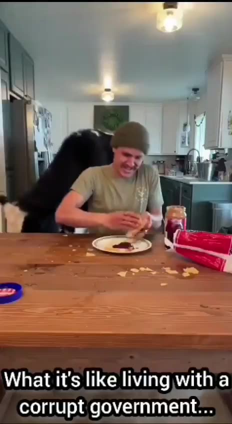 What It Is Like Living With A Corrupt Government