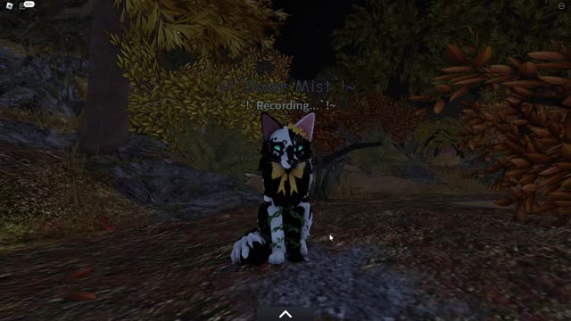 A Little Video From Barn All Through the Camps of Warrior Cats Roblox