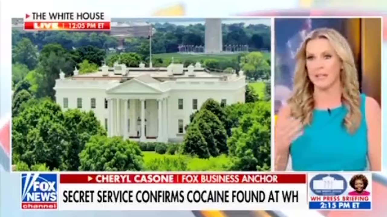 Kaleigh McEnany wants to know which room it was found in. cocaine is a serious drug.”