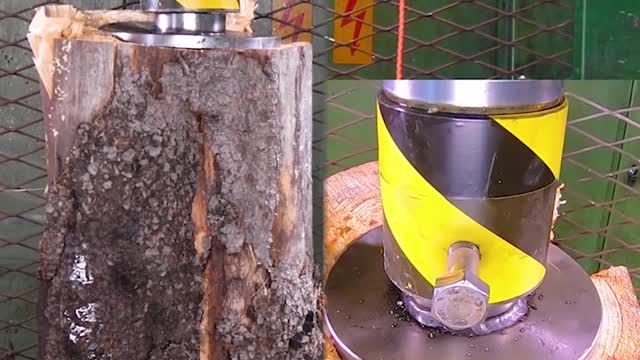 Hydraulic Press vs. VARIOUS BARKS