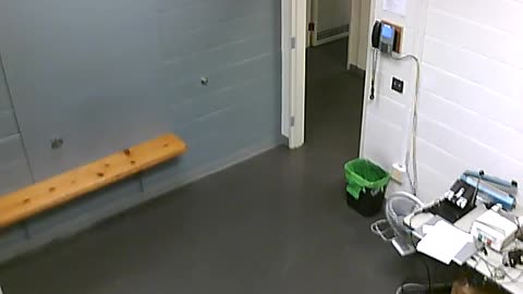 1700HQOB02208ALiveScanRoom_2021-01-06_21h00min04s080ms.mp4