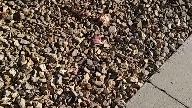 ACROSS THE STREET PART 2