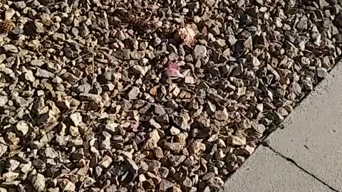 ACROSS THE STREET PART 2