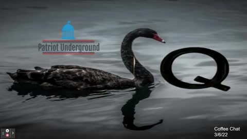 PATRIOT NEWS UNDERGROUND , BEST INTEL.