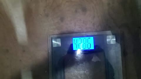 Weigh-In Sept 28, 2023
