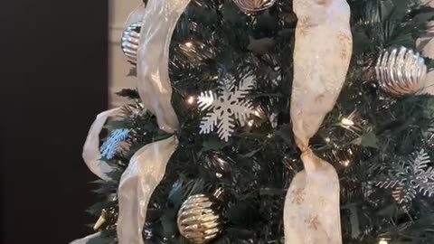 🎄Link is in my bio!!🤎