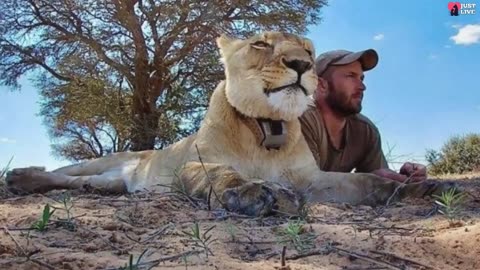 Man saves tiny lioness abandoned by mom! Now their friendship shocks everyone